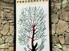 -常德桃花源景区
