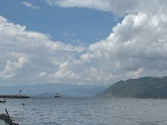 -才村湿地公园