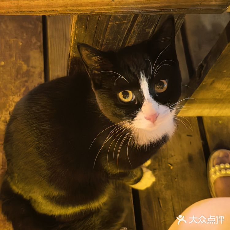 南山暮色里✨带闺蜜撞进重庆夜景的诗行～