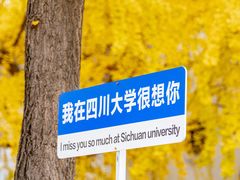 -四川大学(望江校区)