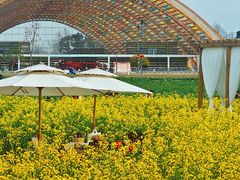 -中国天府农业博览园