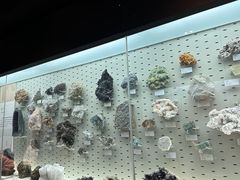 -浙江自然博物院(杭州馆)