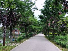 -鹅湖玫瑰文化园