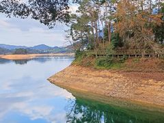 -广州市流溪河国家森林公园