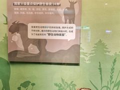 -陕西自然博物馆