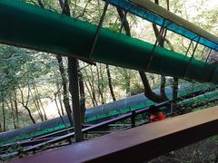 -王顺山国家森林公园