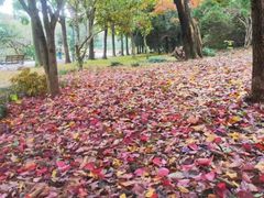 -蠡湖中央公园