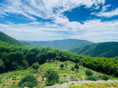-莫干山风景区