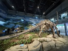-自贡恐龙博物馆