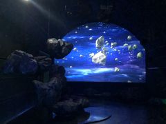 -佛山科学馆