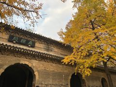 -灵谷景区