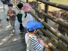 -苏州太湖西山岛开心农场