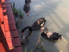 -狼山风景名胜区