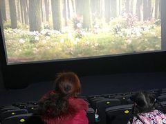 -幸福蓝海国际影城(芜湖IMAX店)