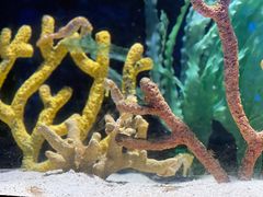 -珠海长隆海洋王国