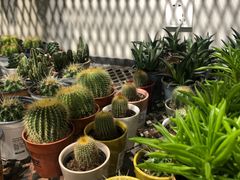 -鹿岛会员店 (龙湖三千集天街店)