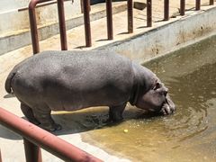 -青藏高原野生动物园