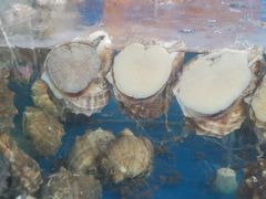 -顶之鲜海鲜餐厅