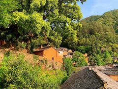 -杨家堂村