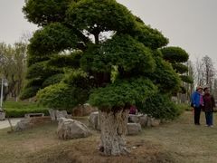 -济南国际园博园