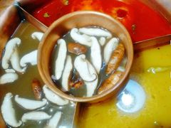-老诚一锅羊蝎子(黄寺大街店)