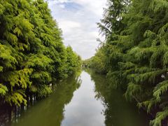 -昆山城市生态森林公园