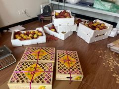 -南汇新场正宗水蜜桃采摘