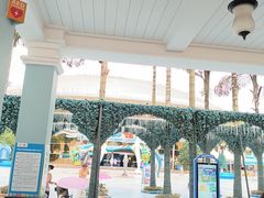 -海合安成都极地海洋公园