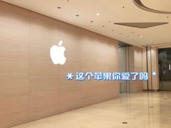 -Apple零售店(苏州店)