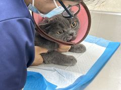 -仁华宠物医院(青羊店)