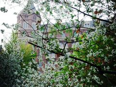 -天津五大道文化旅游区