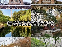 -南京古林公园