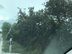 -大泽山风景名胜区