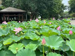 -苏州香山国际大酒店