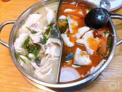 -朝阳酸菜鱼休闲餐厅