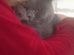 -Rabbit Cafe私房西餐甜点咖啡(栖霞路店)