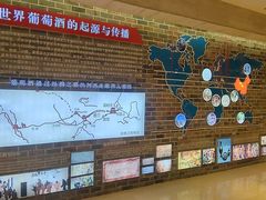 -紫轩葡萄酒庄园