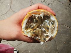 -西双版纳傣族园