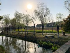 -艾溪湖湿地公园