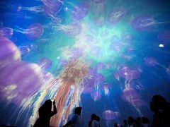 -烟台海昌鲸鲨海洋公园