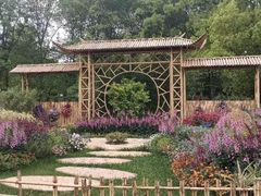 -上海共青森林公园