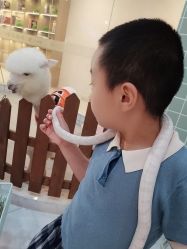 -Moni星球萌宠·小马宝莉·灵蛇·高端高阶全萌宠互动体验俱乐部(红豆国际广场店)