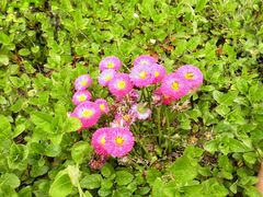 -西湖风景区-江洋畈生态公园