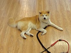 -YCHL Studios健身工作室(市二宫店)