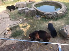 -无锡动物园·太湖欢乐园