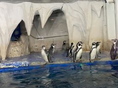 -太平洋海底世界