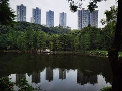 -重庆彩云湖湿地公园
