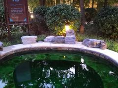 -中家鑫园温泉酒店鑫悦汤泉