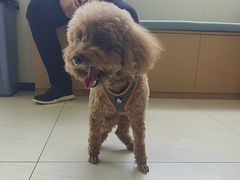 -美联众合动物医院·24h京西诊疗中心