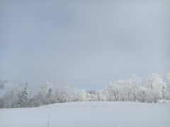 -雪谷